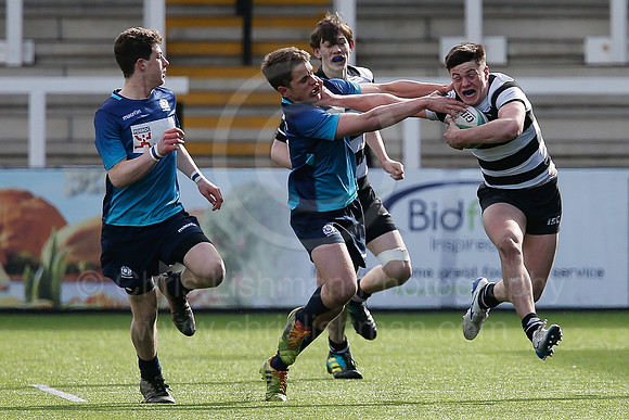 Academy & Scotland 16's_082_LC_6005