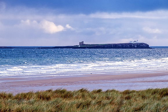 Inner Farne II