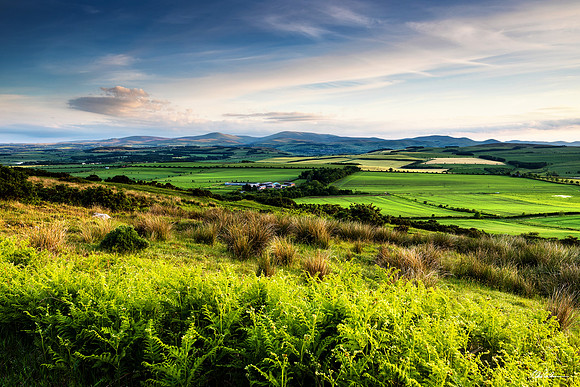 A Northumberland View