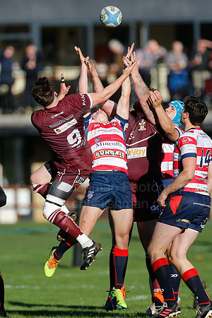 MorpvMorley_006_LA_6706