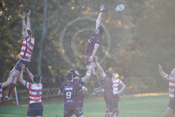 MorpvMorley_066_LA_7413