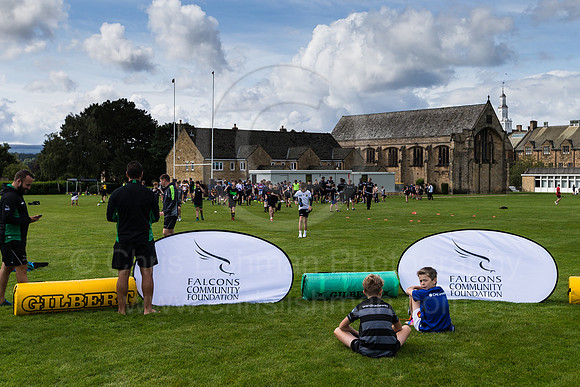 Falcons at Barny 2019_001__LC_1372