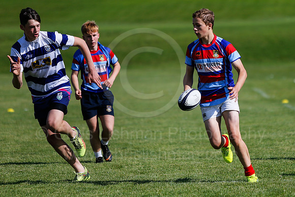 Falcons at Barny 2019_014__LA_1293