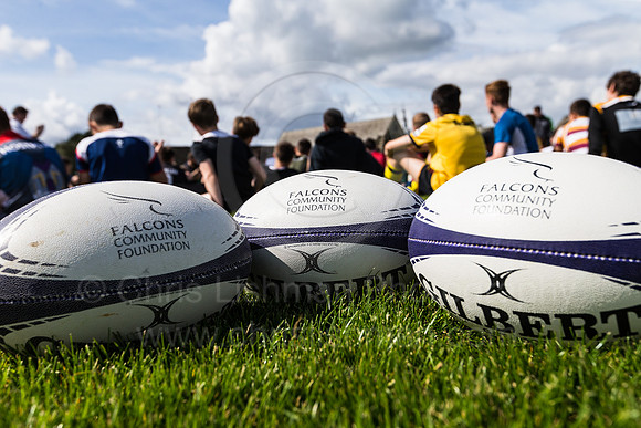 Falcons at Barny 2019_002__LC_1377