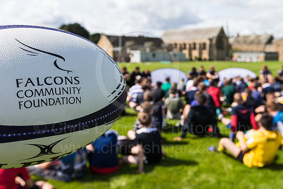 Falcons at Barny 2019_003__LC_1392