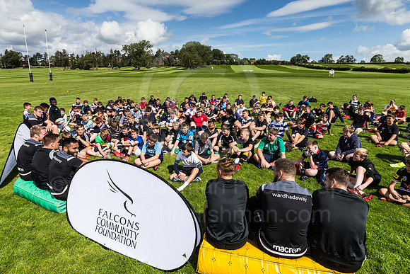 Falcons at Barny 2019_008__LC_1424