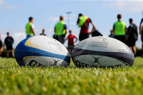 Falcons at Barny 2019_021__LA_1339