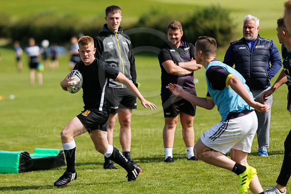 Falcons at Barny 2019_026__LA_1394
