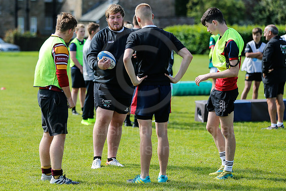 Falcons at Barny 2019_040__LA_1728