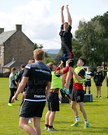 Falcons at Barny 2019_041__LA_1731