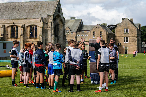 Falcons at Barny 2019_043__LA_1750
