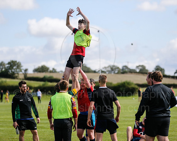 Falcons at Barny 2019_044__LA_1756