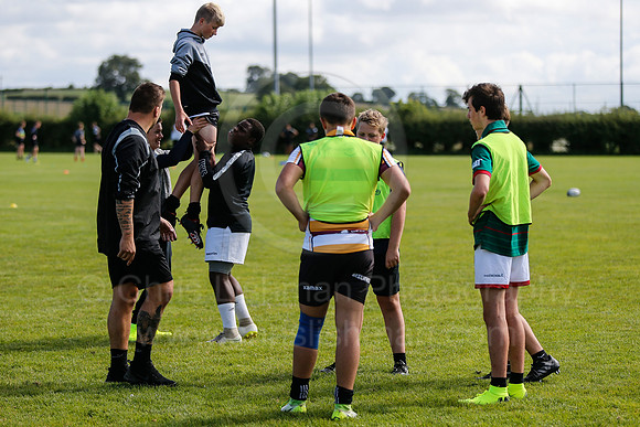 Falcons at Barny 2019_045__LA_1790