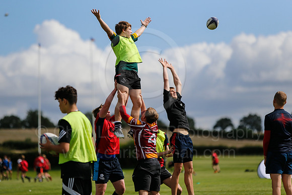Falcons at Barny 2019_058__LA_1994