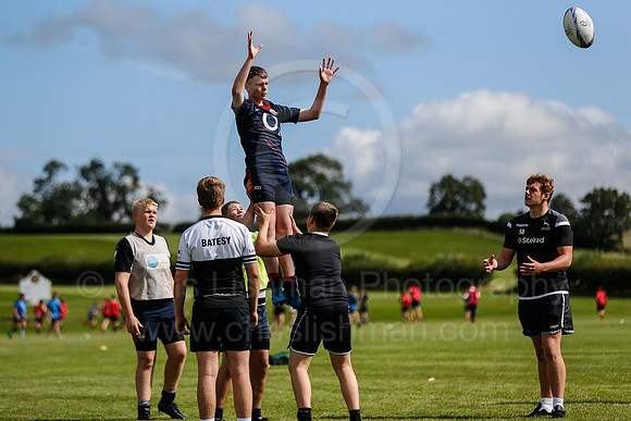 Falcons at Barny 2019_060__LA_2011