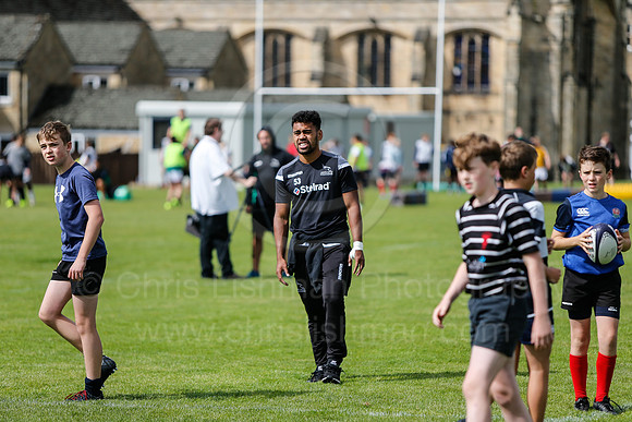 Falcons at Barny 2019_067__LA_2143