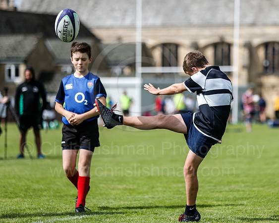 Falcons at Barny 2019_069__LA_2153