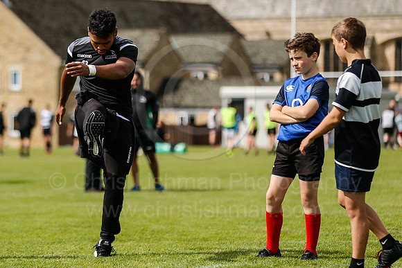 Falcons at Barny 2019_073__LA_2190