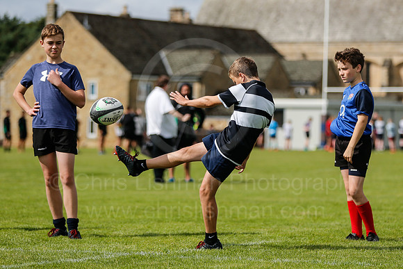 Falcons at Barny 2019_075__LA_2209