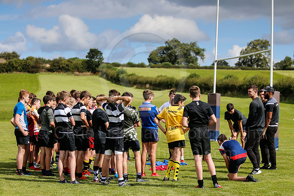 Falcons at Barny 2019_077__LA_2245