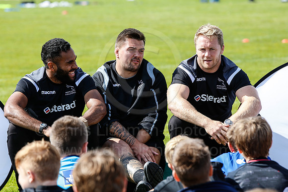 Falcons at Barny 2019_081__LA_2279