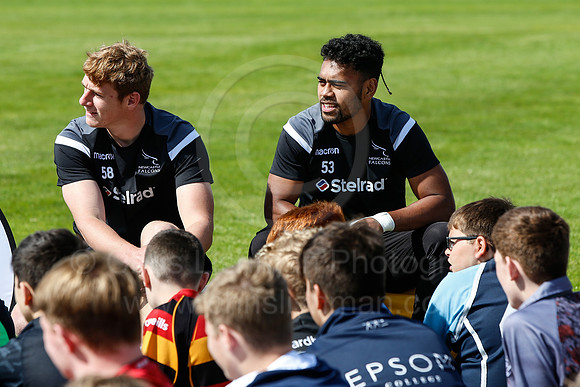 Falcons at Barny 2019_083__LA_2295