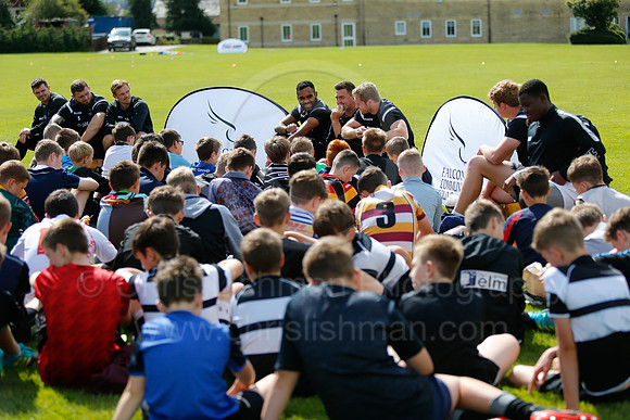 Falcons at Barny 2019_089__LA_2324