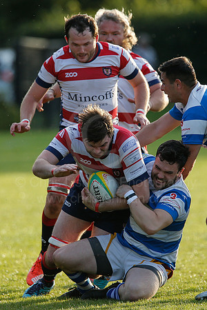 North Shields RFC v Morpeth RFC_021__LC_1717