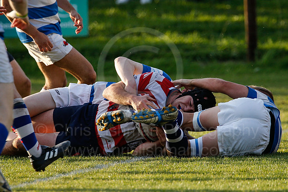 North Shields RFC v Morpeth RFC_034__LC_1869