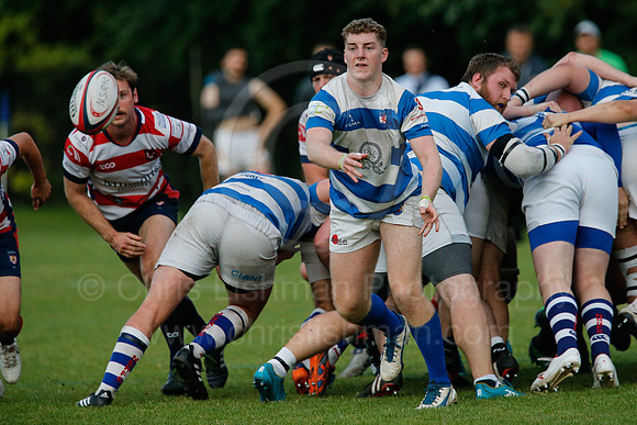 North Shields RFC v Morpeth RFC_076__LC_2233