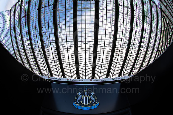 3H9A0621