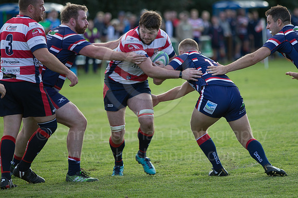 MorpvCarlisle_019__LC_5233