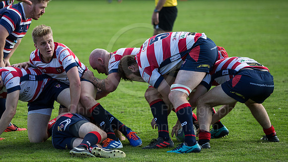 MorpvCarlisle_004__LC_5222