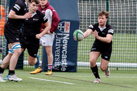 Uni 3's v Poly_31-01-2024_CL_865739