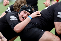 Uni 3's v Poly_31-01-2024_CL_865817