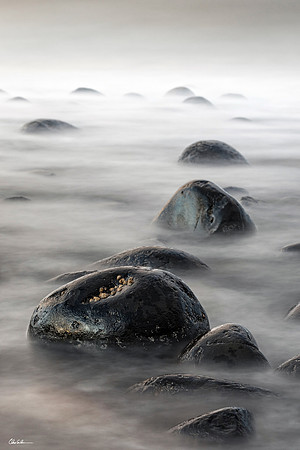 "Dunstanburgh Boulders"