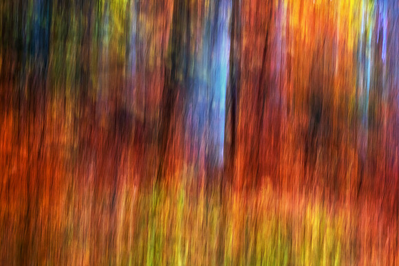 Callaly Colours