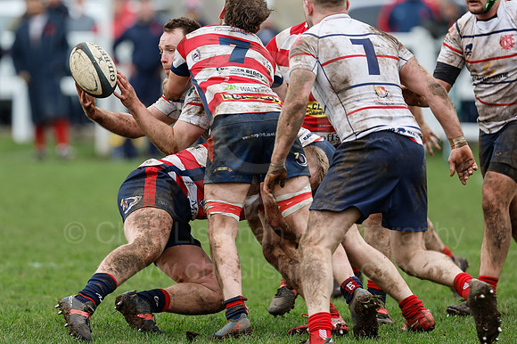 Northern v Morpeth_17-02-2024_CL_901332