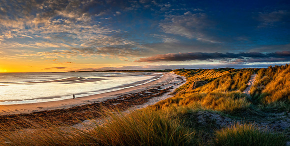 Beadnell Bay to Dunstanburgh Castle