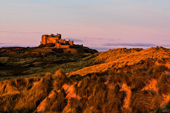 "Sunlit Dunes & Castle"