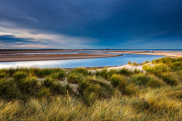 "Sunkissed Dunes"