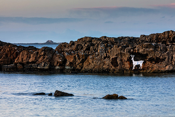 "Stag Rock"