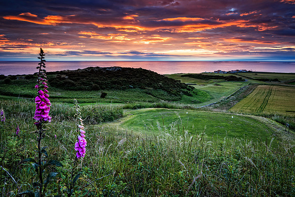 Dawn at the 17th Tee