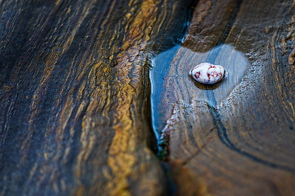 Rock Detail II