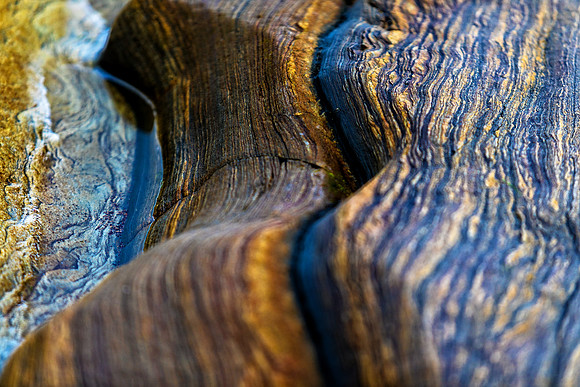 Rock Detail III