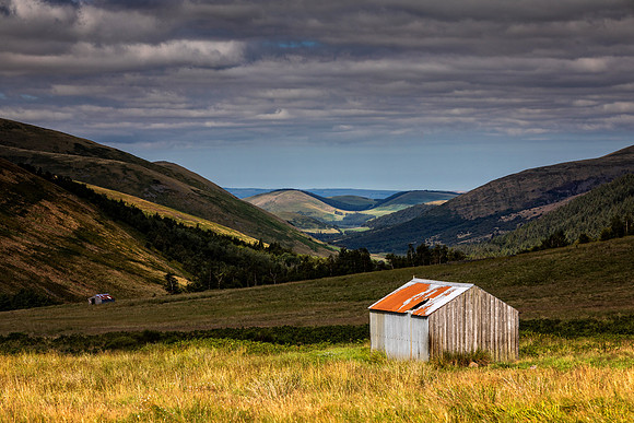 Down the Valley