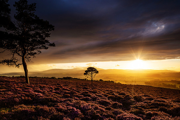 Sunset at Hepburn