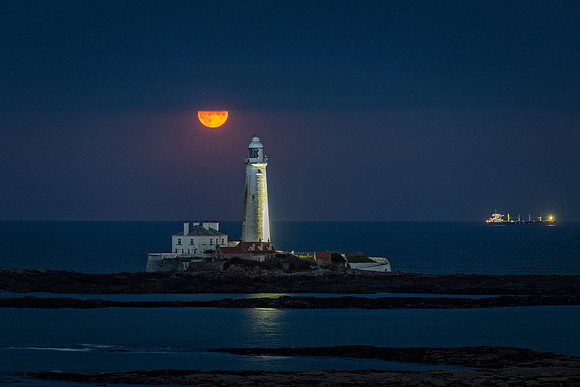 "Harvest Moon"