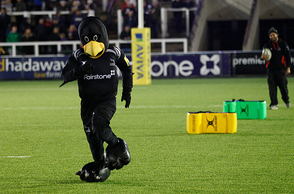 Falcons v Gloucester_L2_0643_