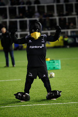 Falcons v Gloucester_L2_0636_